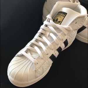 Adidas Pro model Shell Toe Sneaker